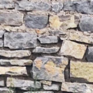 这个号给我弟了发的视频别见怪（原狗头君）