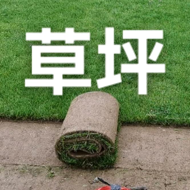 武汉苗木草坪直销