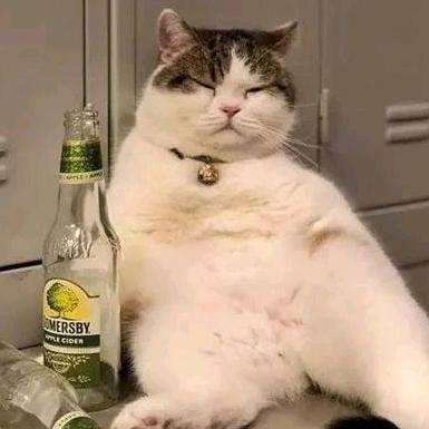 林锐三角洲（博龙电竞）