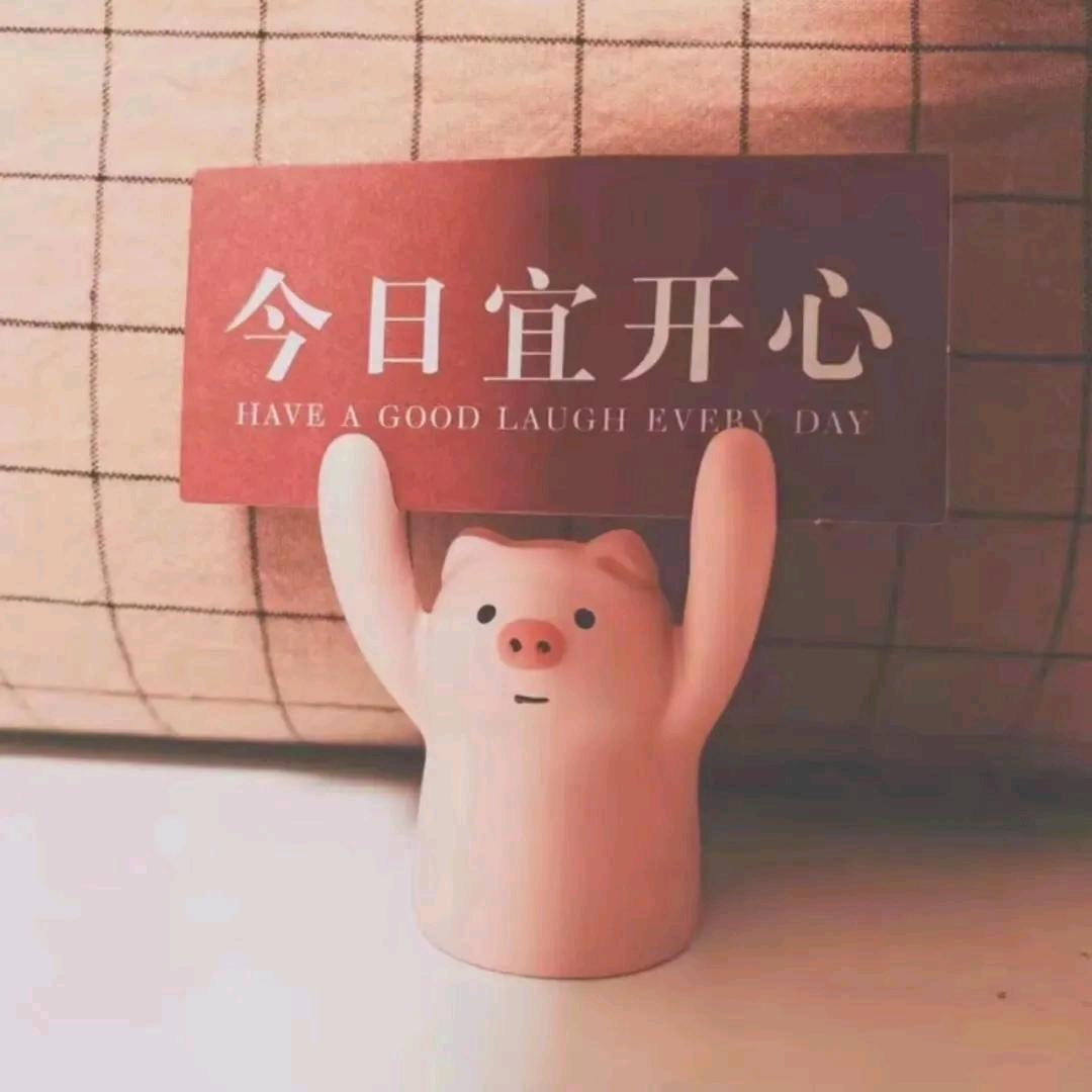 陕西专业修脚（袁花镇）