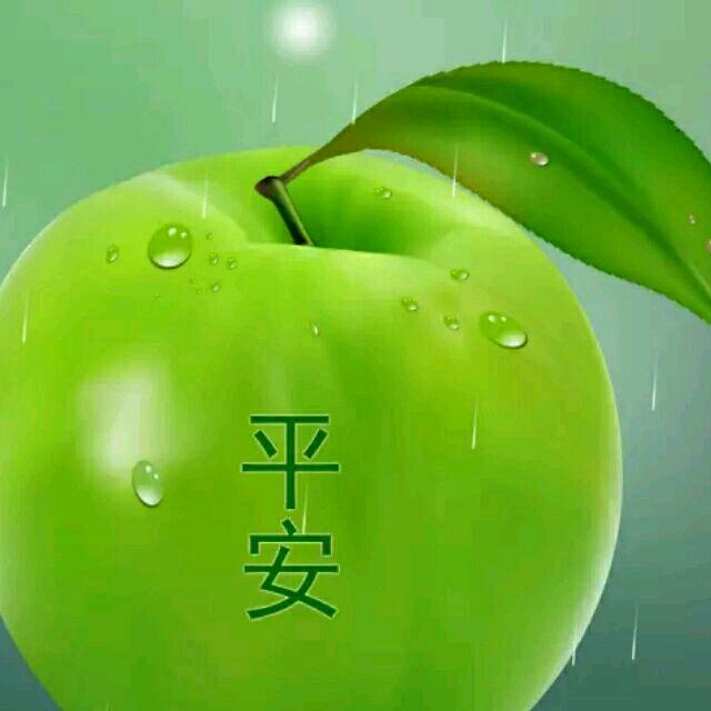 星河不知意