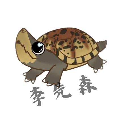 李先森的龟宠