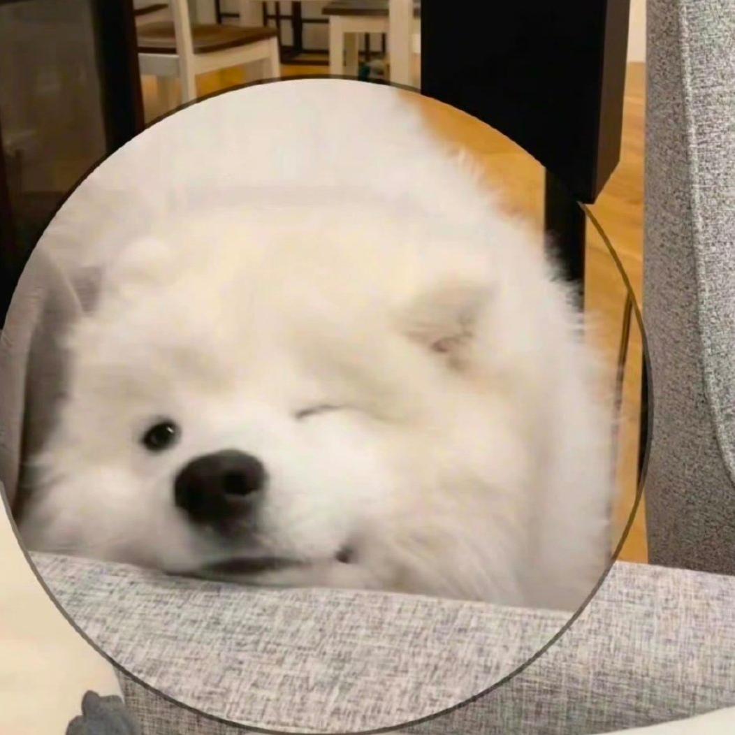 小罗记得带sd卡📷