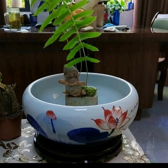 ❤️为你停留❤ (ɔˆз(ˆ⌣ˆc)
