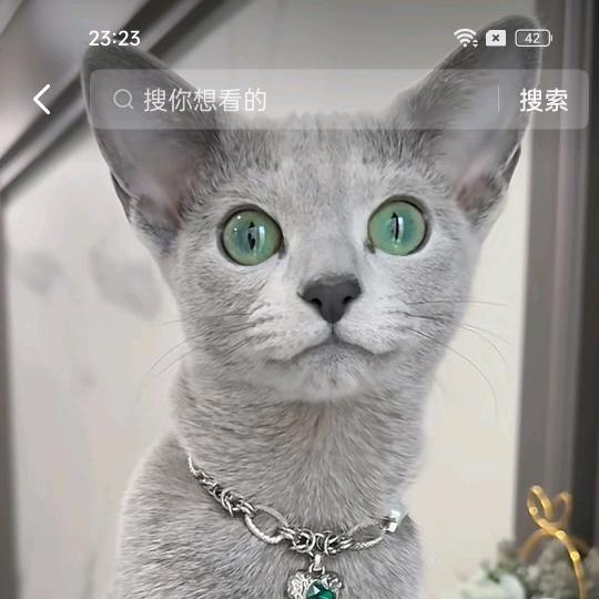 雨侠小大