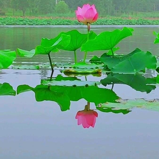 春满人间