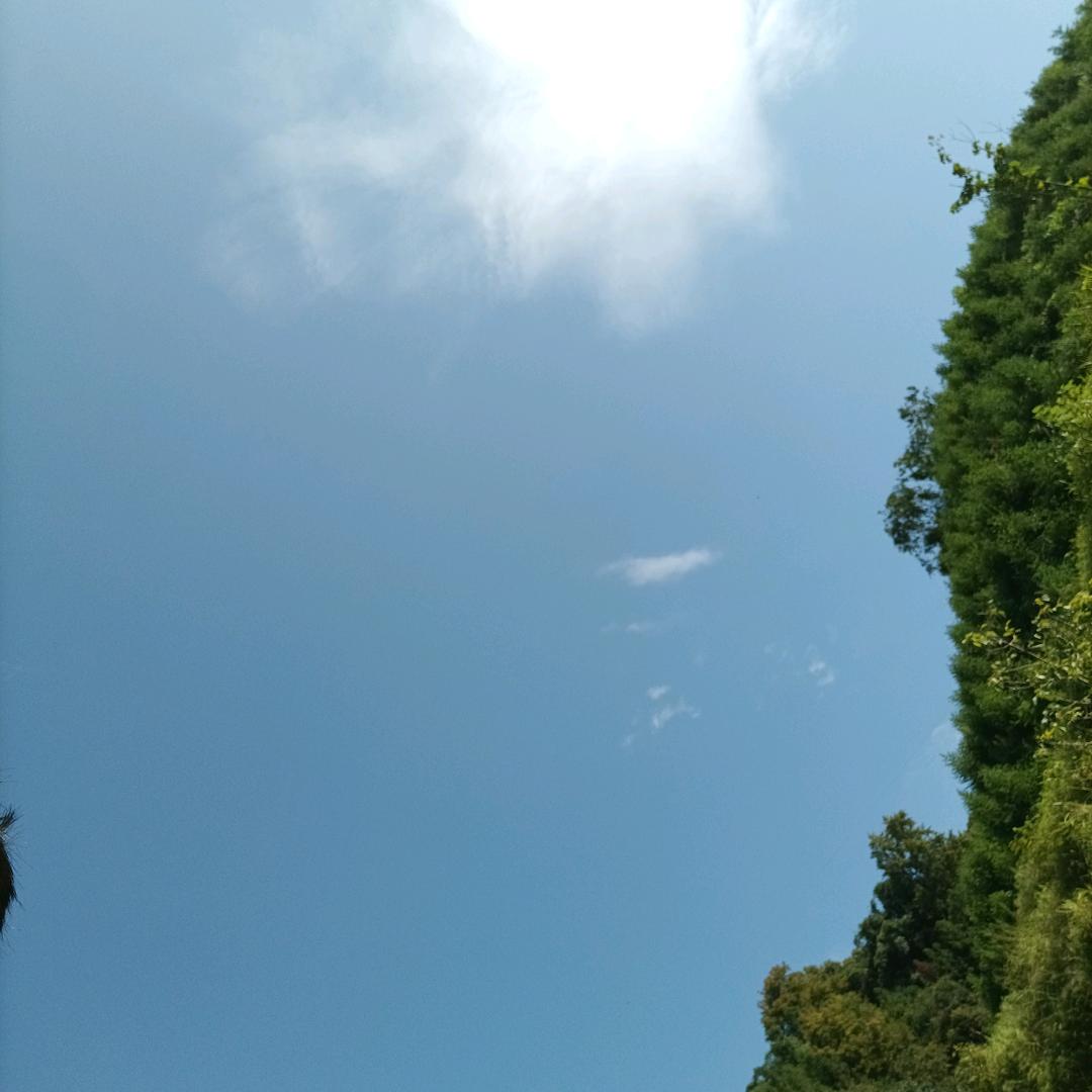 一阵峰