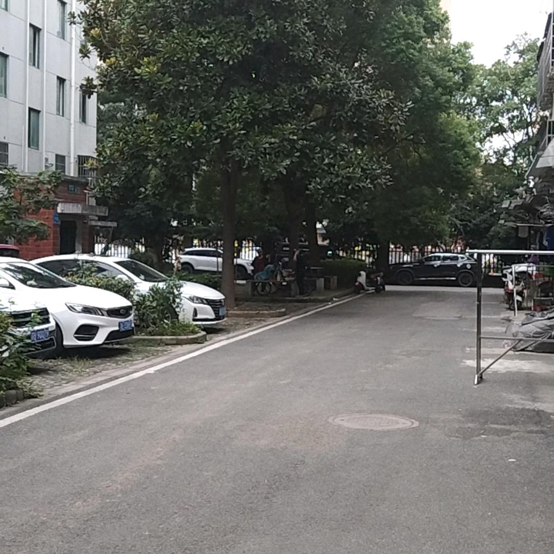 向往神鹰
