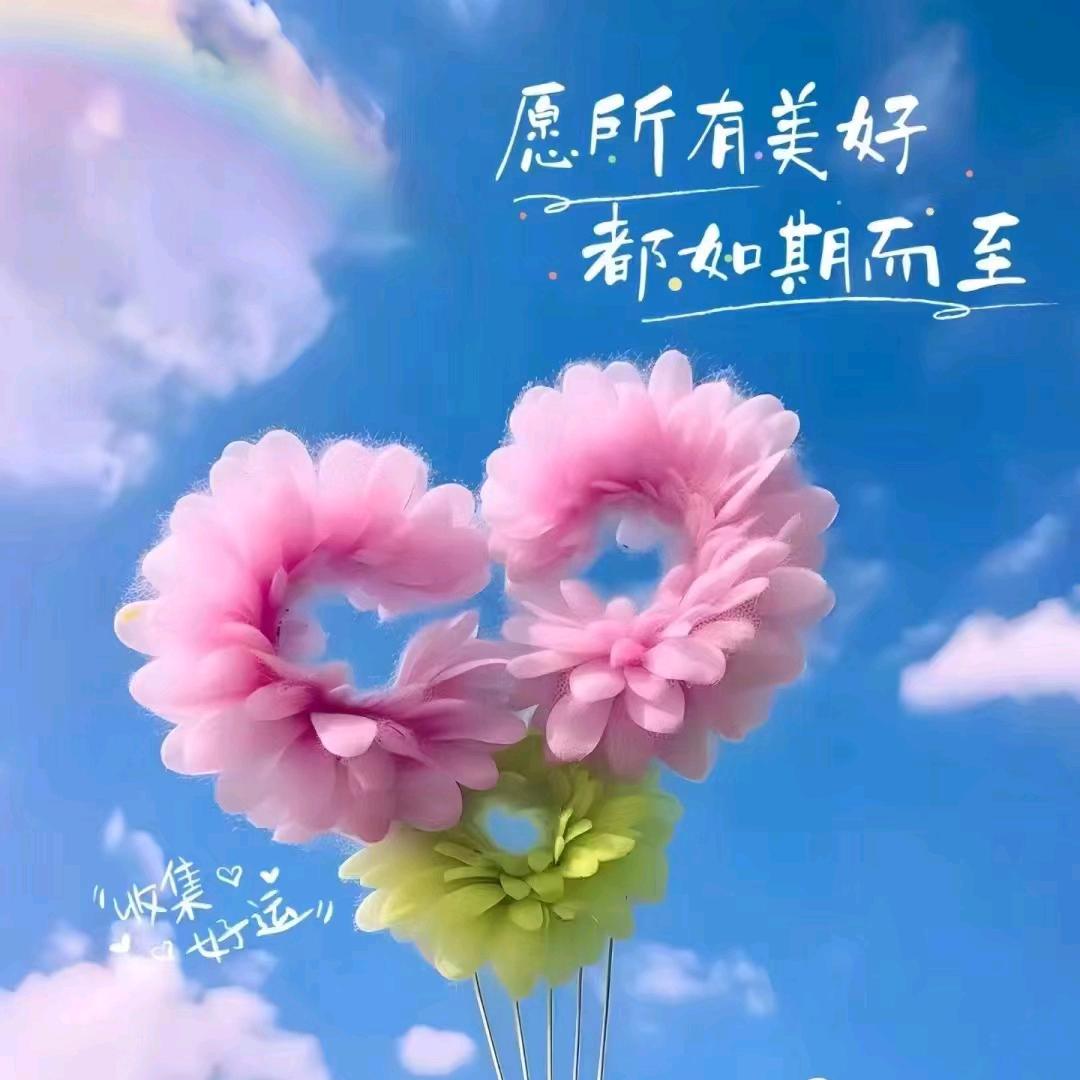 肥姐