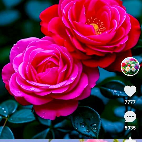 用户510642805303用户