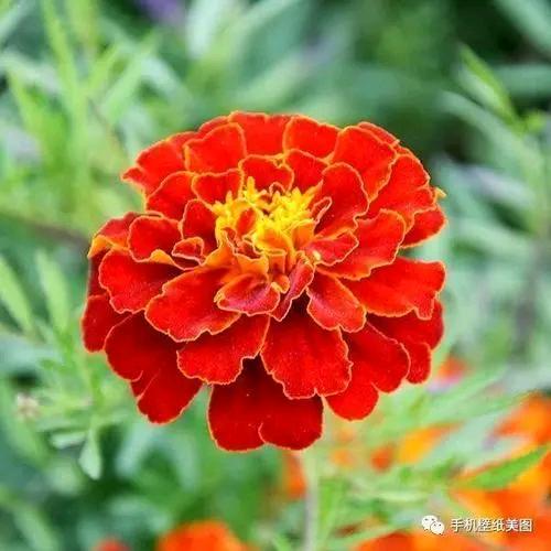🌷清晨的阳光🌷