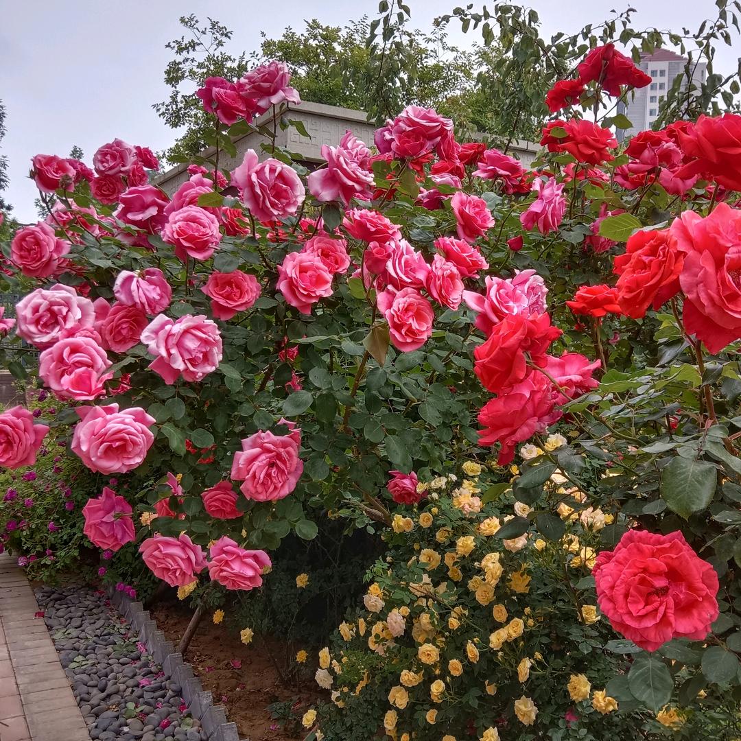 爱分享好物的于