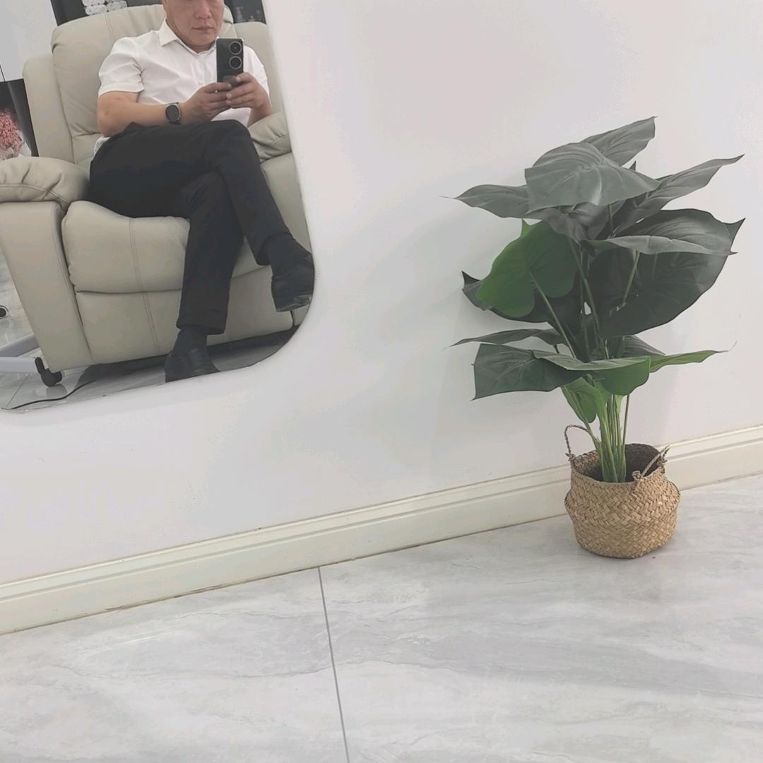 曹兰飞