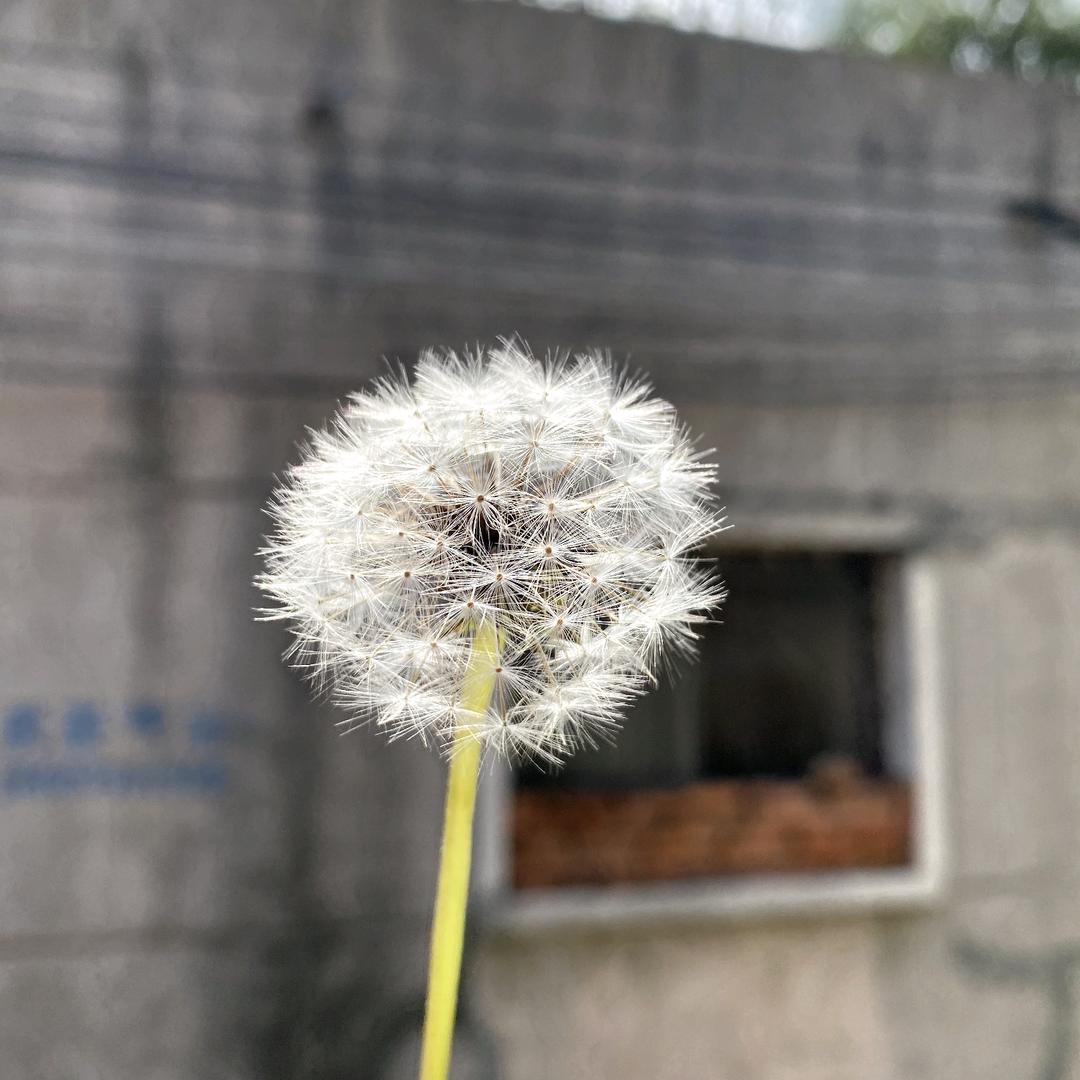钢城路亚小王子