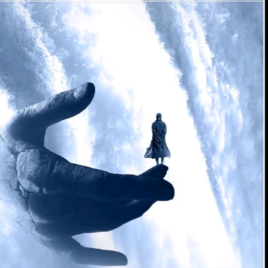 起帆启航，鱼头哥