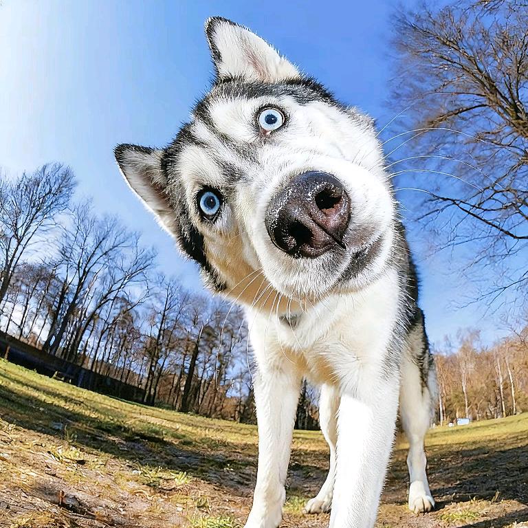 神时洐别说话。