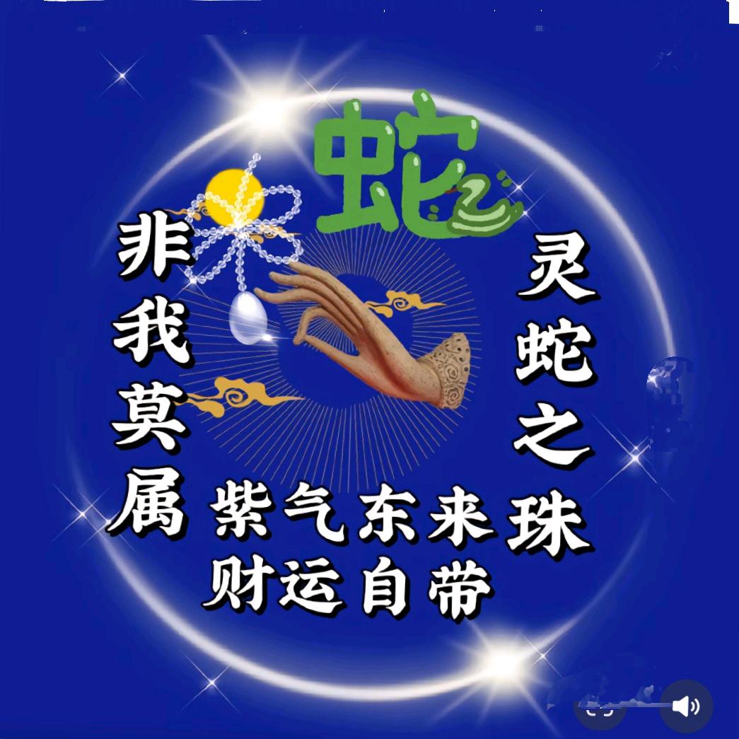 蛇来运转