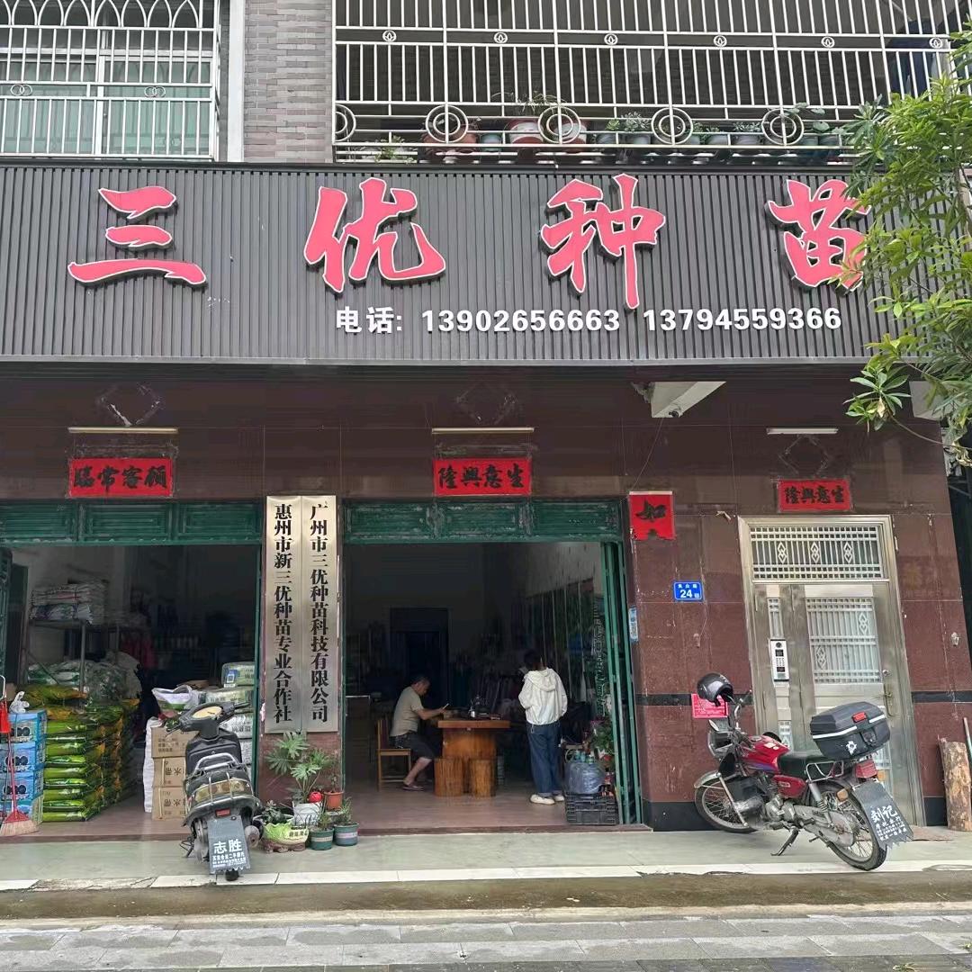 惠州市三优种苗丽（种子种苗🌱）
