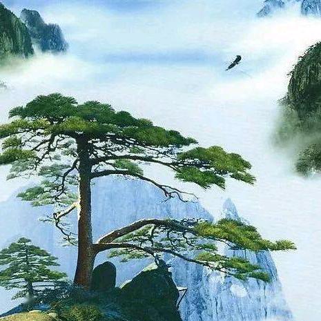 高武好仔