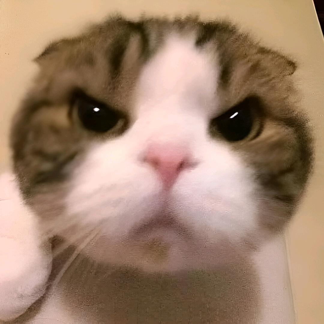 小登不搞抽象