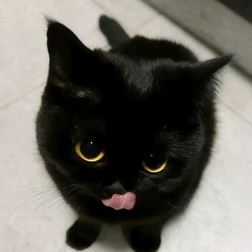 ㅤ     ㅤ     ㅤ ㅤ