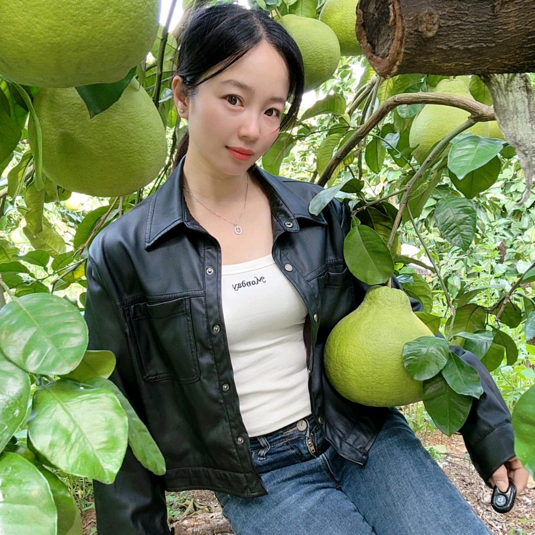 跳舞兰（梅州金柚）