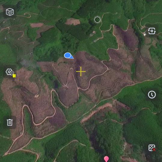 桉树割草挖坑施肥