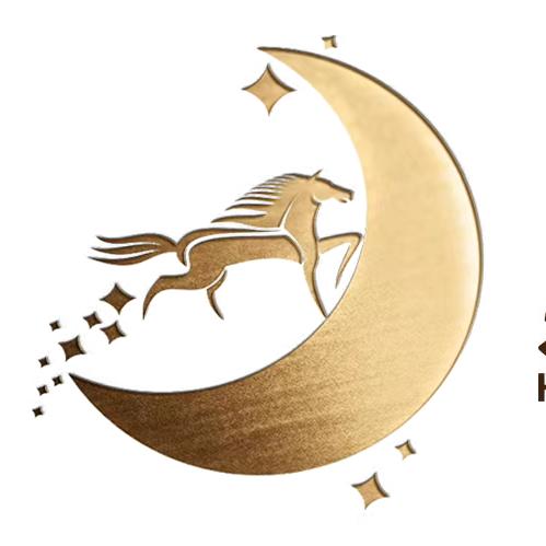 黑小马众创
