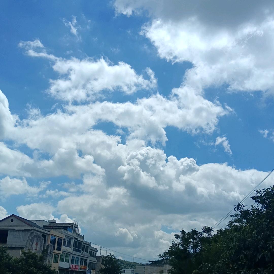 💯小撒哥💯回族