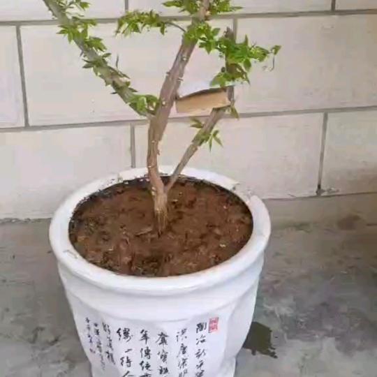 @航航