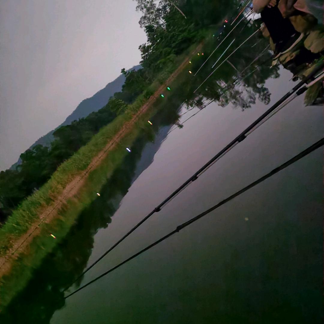 ㅤㅤ︃ㅤ︃︅︄︃         ㅤㅤ