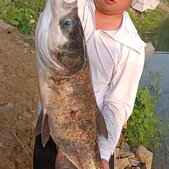 XS黑漂先森