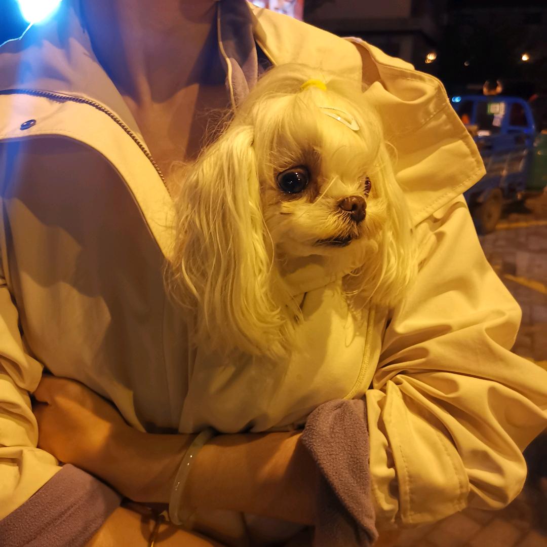 玩命干
