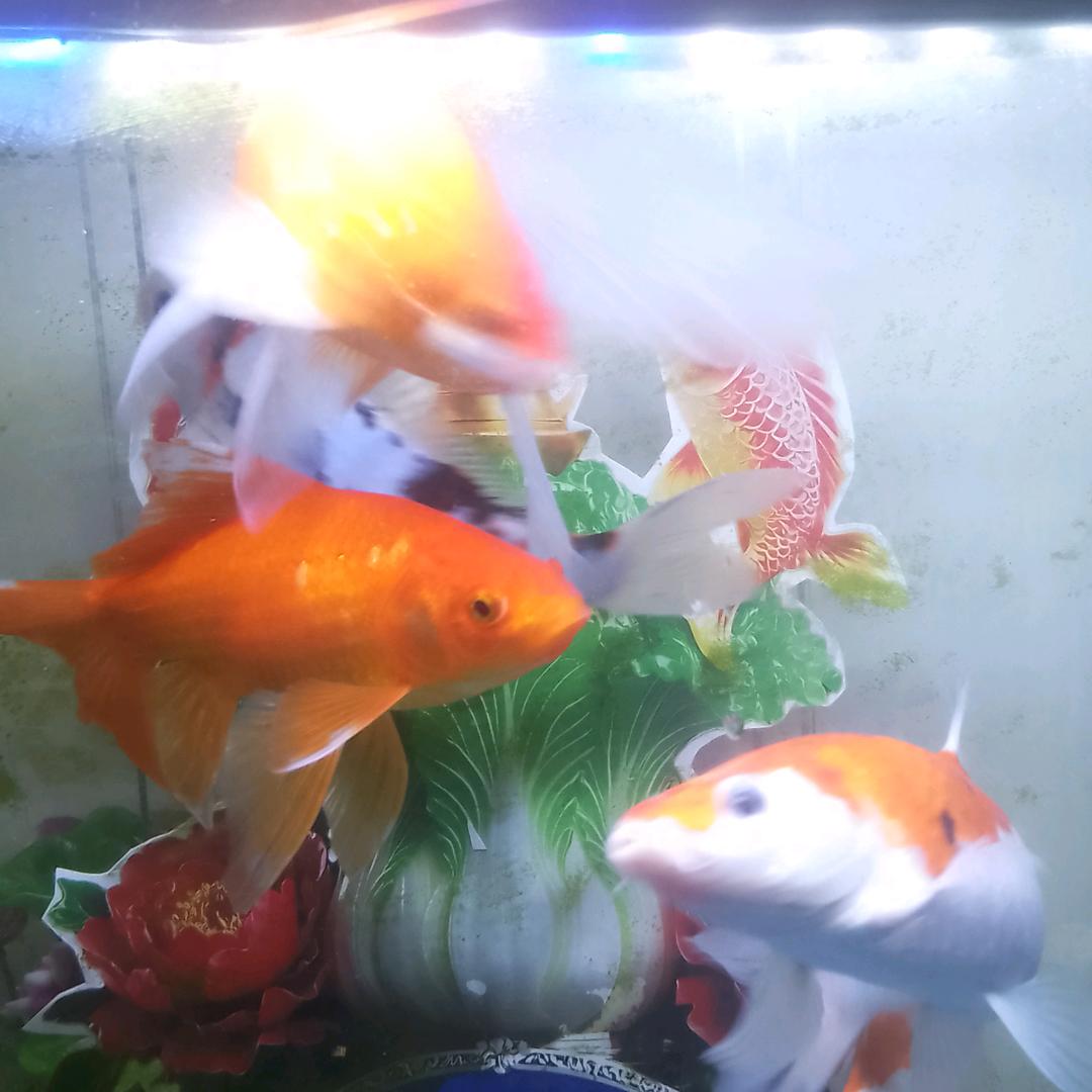 做好自己，走好人生每一步！