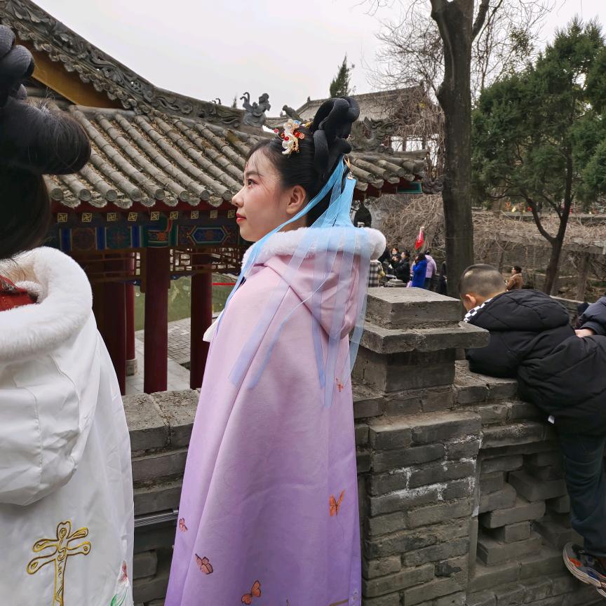 苗子姐