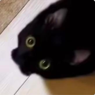 我是王刚不是桃乐丝