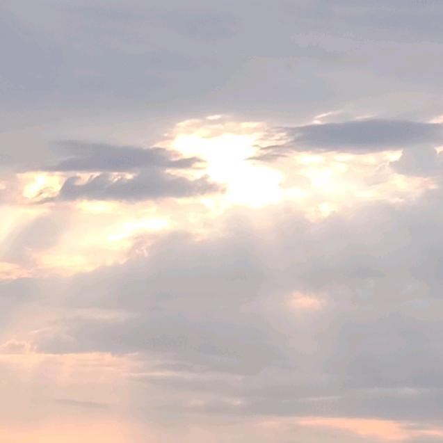 余生只为一人笑