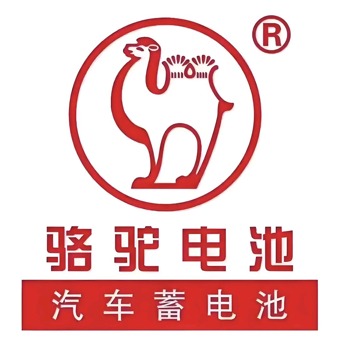 周口骆驼总代-湖南电瓶(淮阳店)