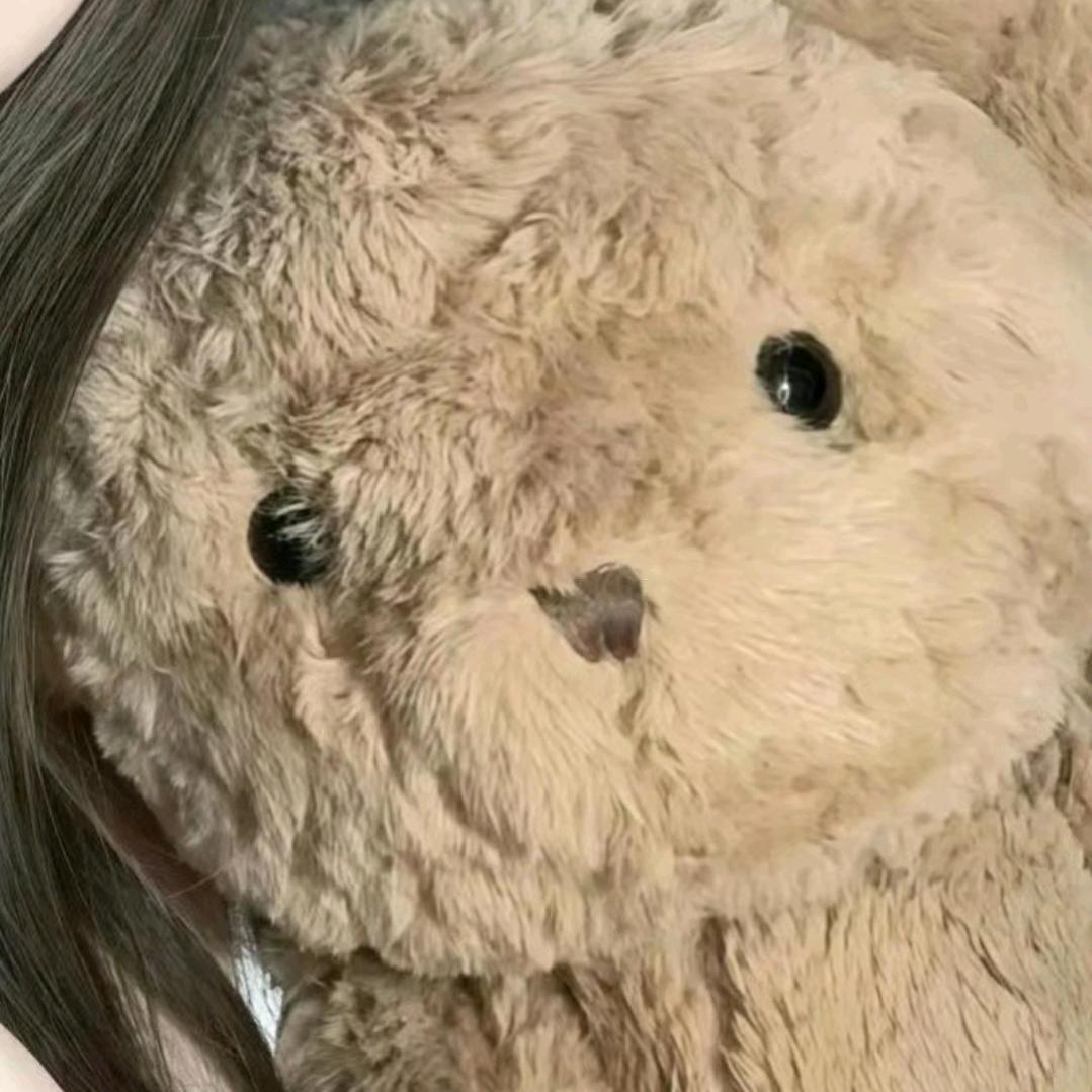 知安