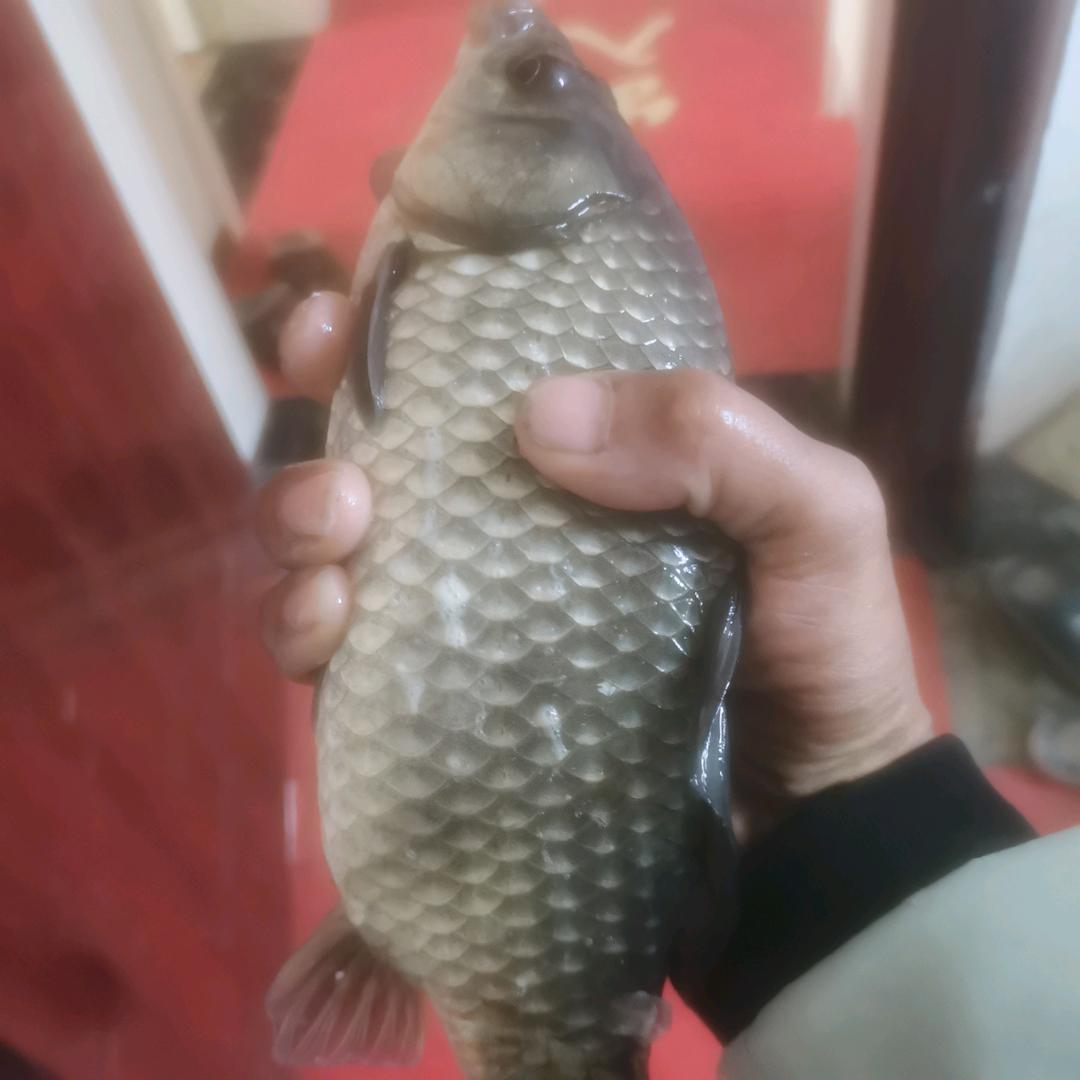 ～&^悠然^&～