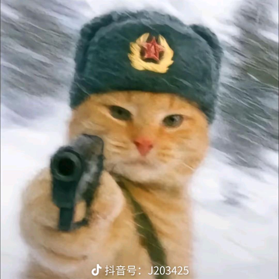 贾郑景