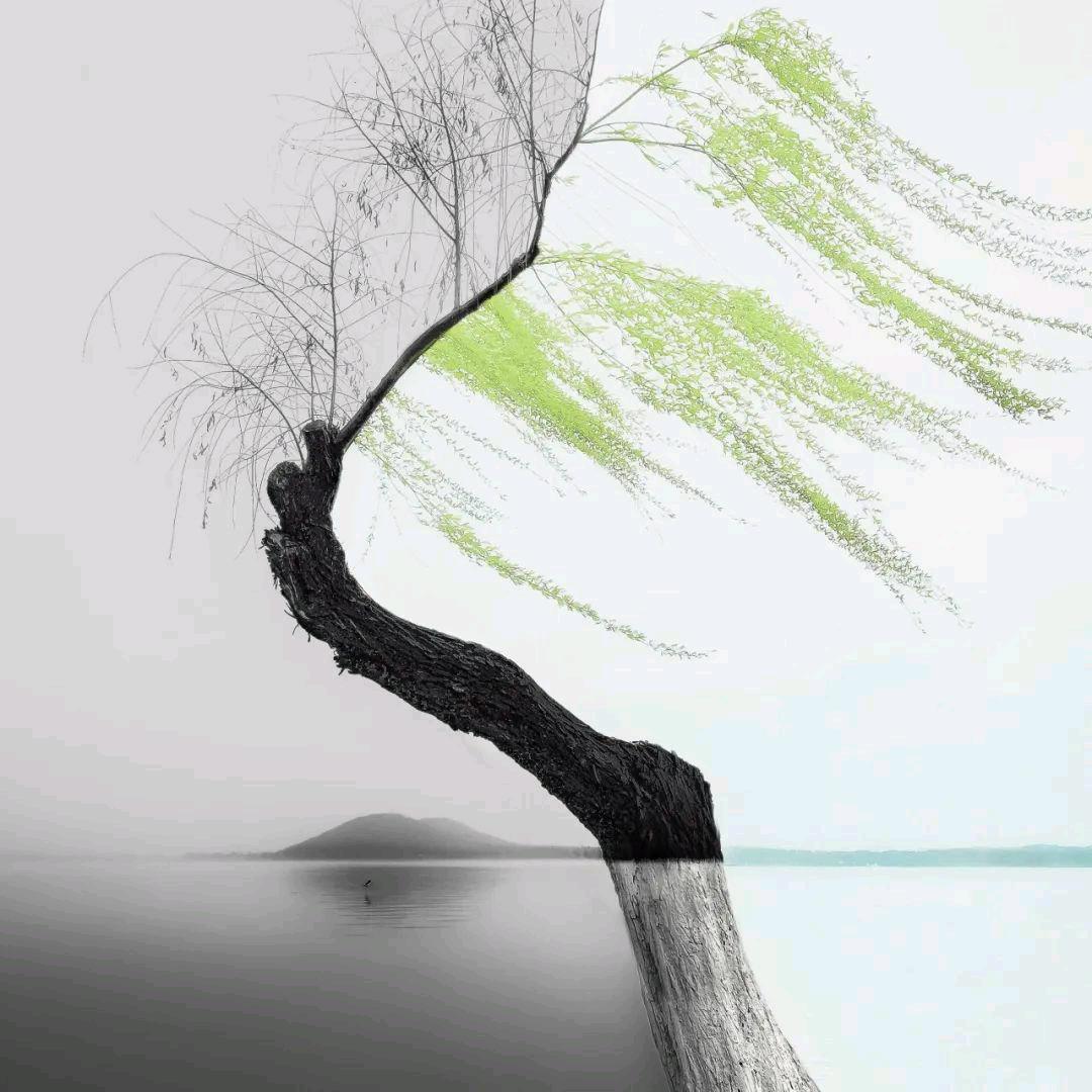 一城烟雨一楼台，一花只为一树开。