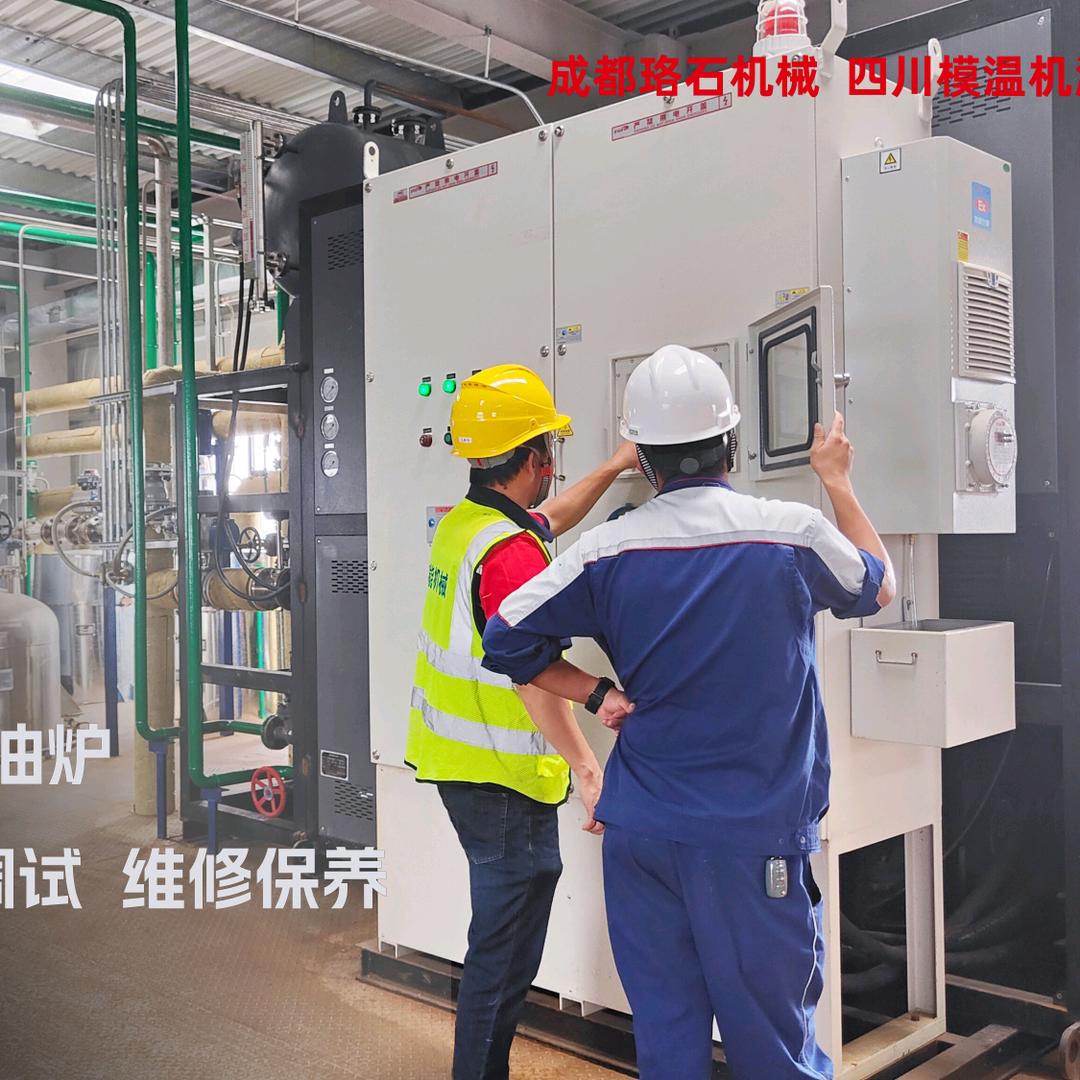 珞石电加热导热油炉生产厂家