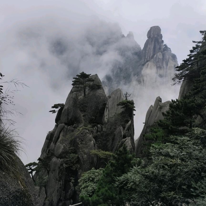 只想现在，不想未来