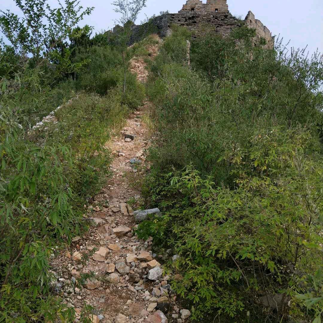小邓优选
