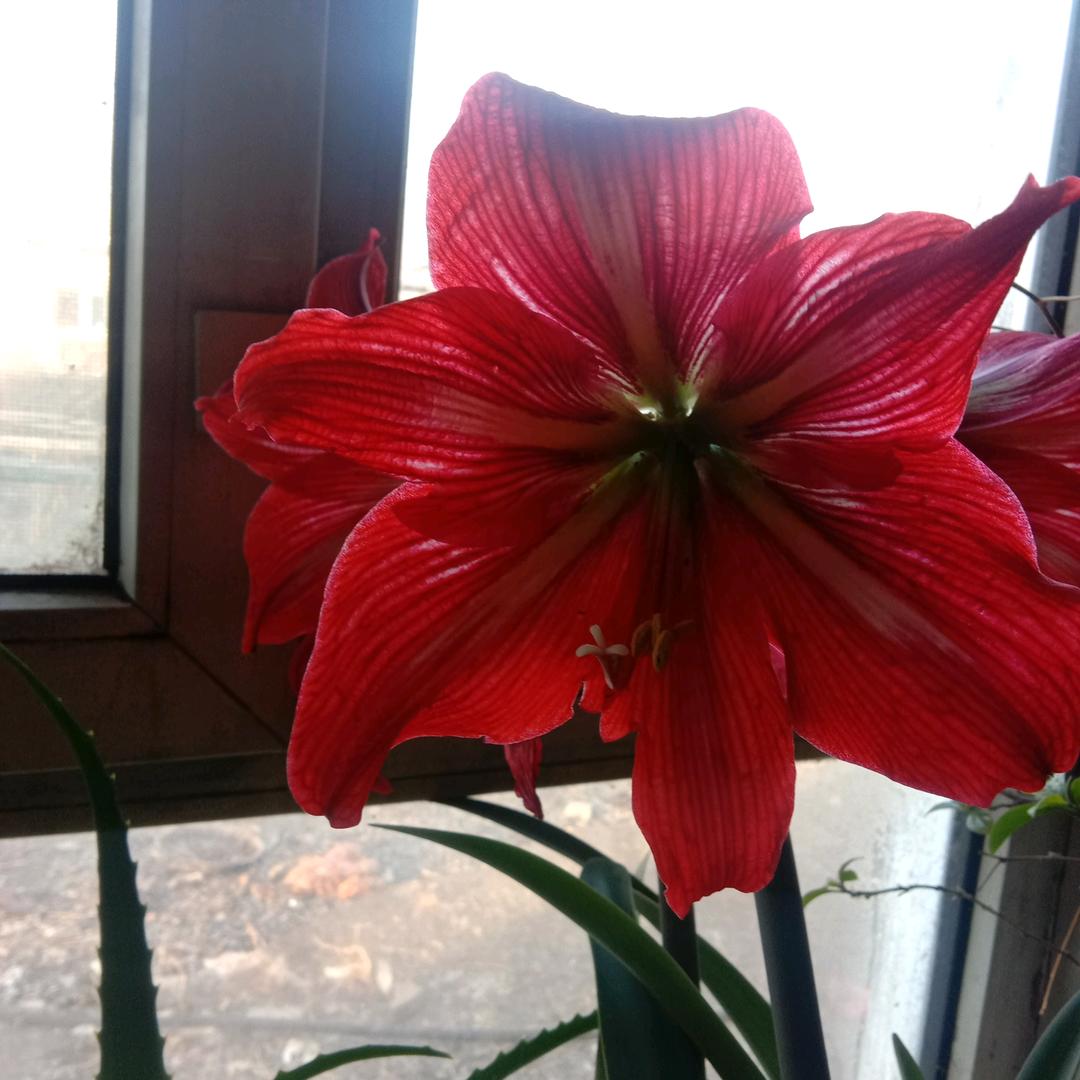 用张学钊户2146859589055