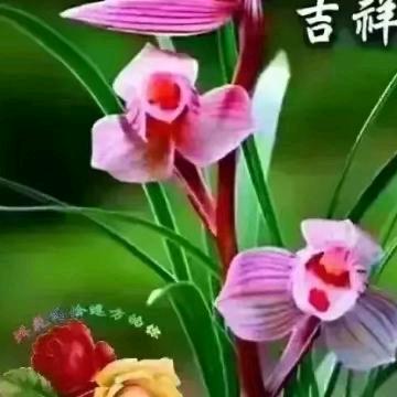 顺益达