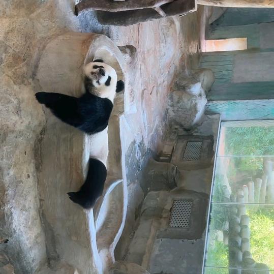 往后余生有你？