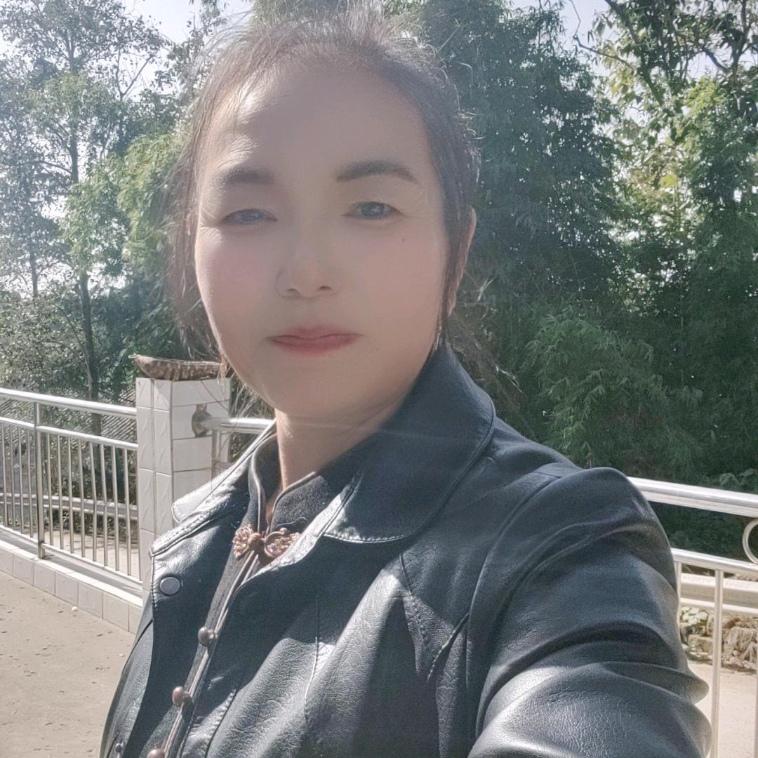 琴jie