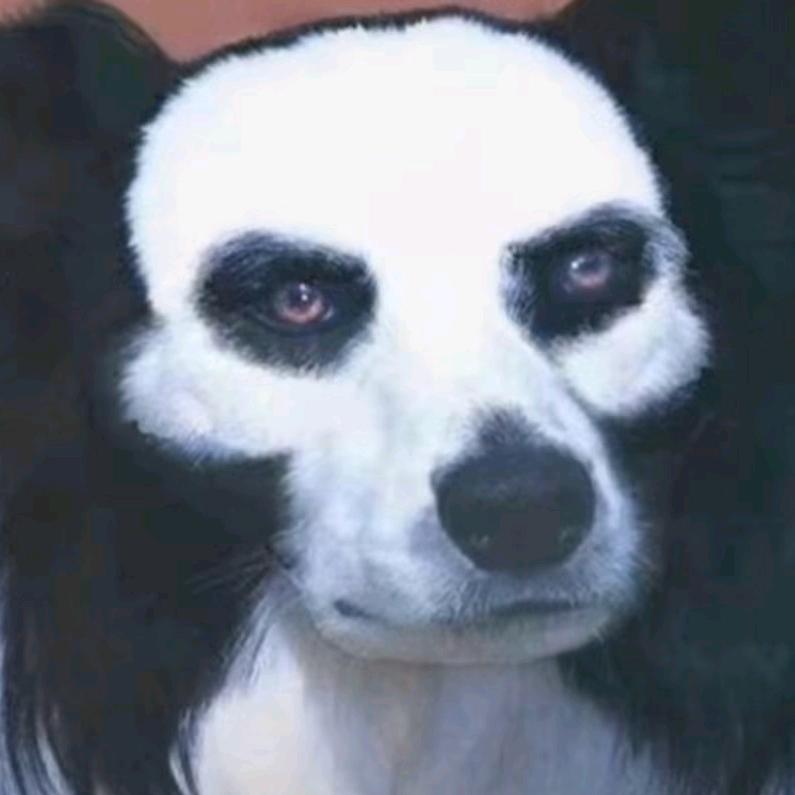 狂踹瘸子那条好腿🤺